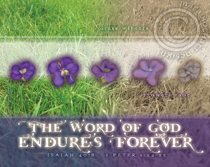Endures Forever - frameable print
