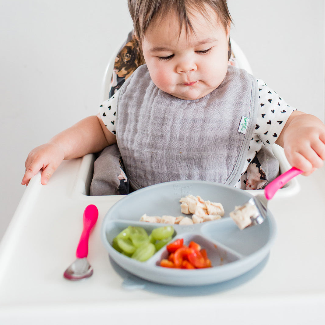 Organic Cotton Muslin Bibs (5 pack)