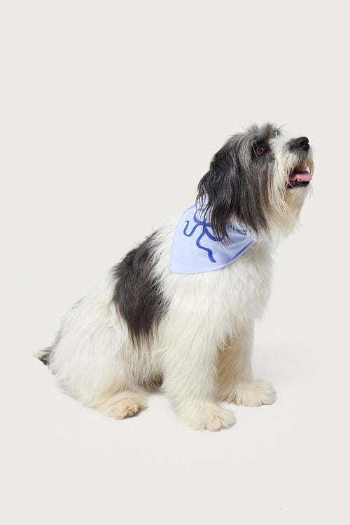 Bonney Bow Pet Bandana