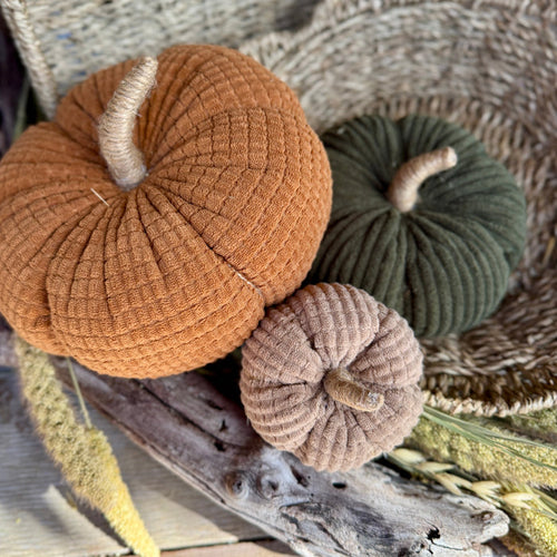 CF-3556 - Sm. Brown Sugar Cross Cord Pumpkin