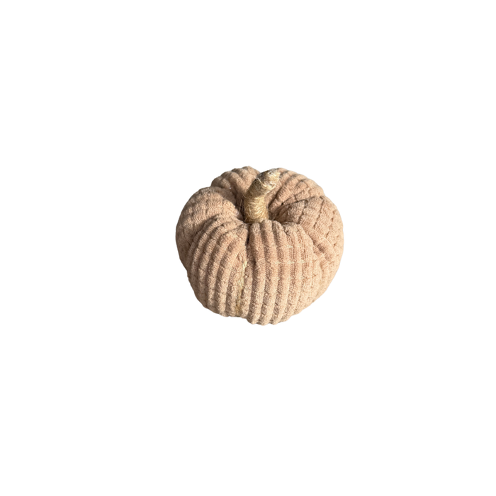 CF-3556 - Sm. Brown Sugar Cross Cord Pumpkin