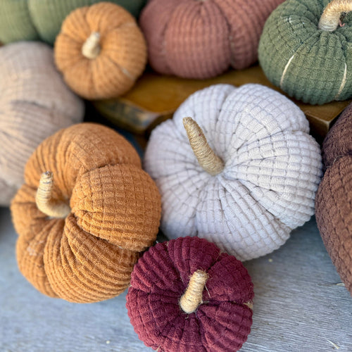 CF-3565 - Lrg. Biscuit Cross Cord Pumpkin