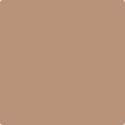 Shop the paint color 1160 Chadwick Brown by Benjamin Moore at Anderson Paint Company in Ann Arbor, Michigan.