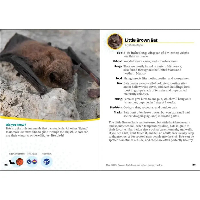 Critters of Minnesota