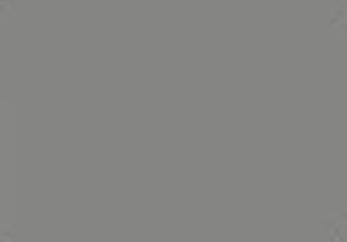 Slate Gray