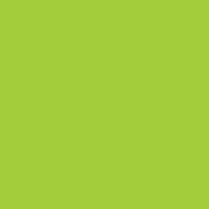 Island Parrot