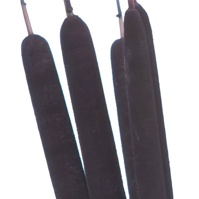 Eggplant Purple Airbrushed Cattails