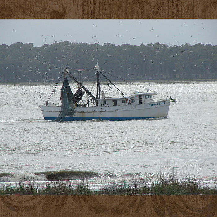 photo taken with zoom lens