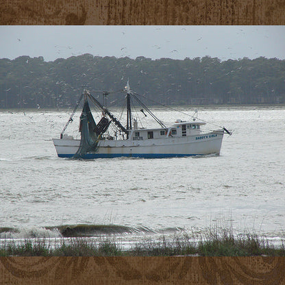 photo taken with zoom lens