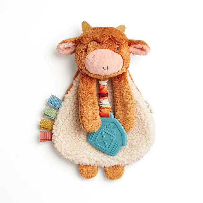 Highland Cow