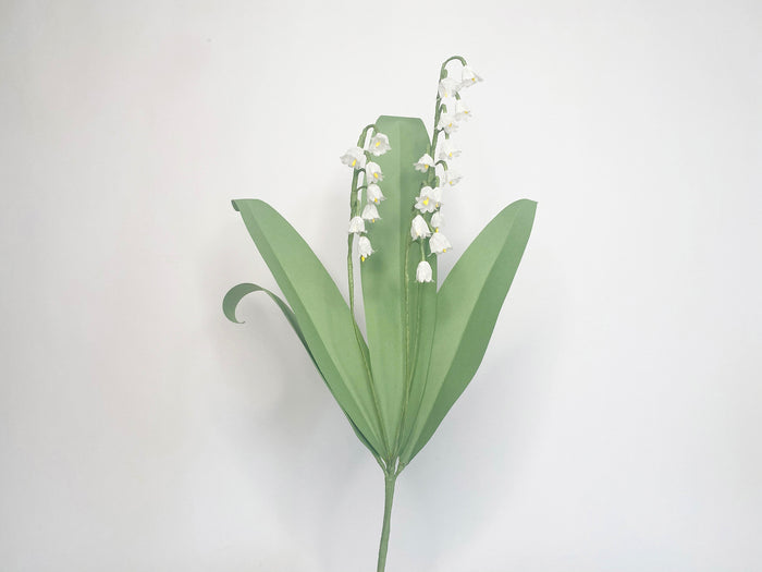 Lily of the Valley