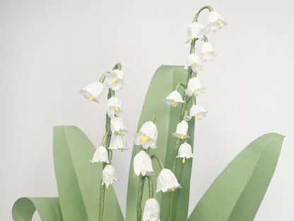 Lily of the Valley