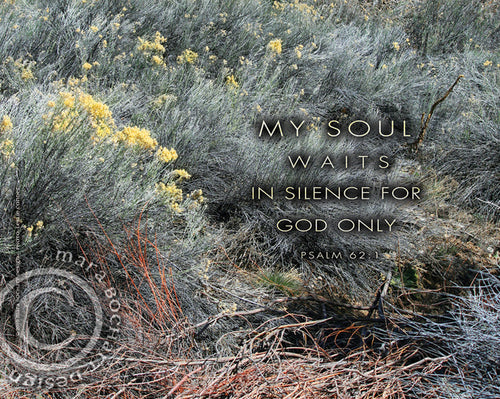 My Soul Waits - premium canvas