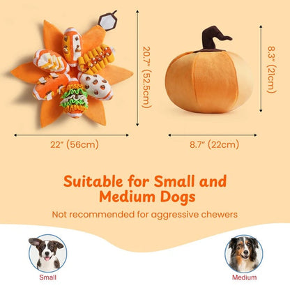 Nocciola - Pumpkin Puzzle Interactive Dog Toy