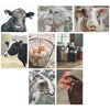 Note Card Set- Homestead #1595