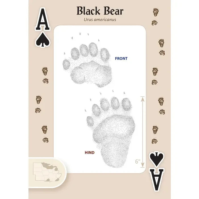 Playing Cards