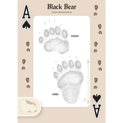 Playing Cards