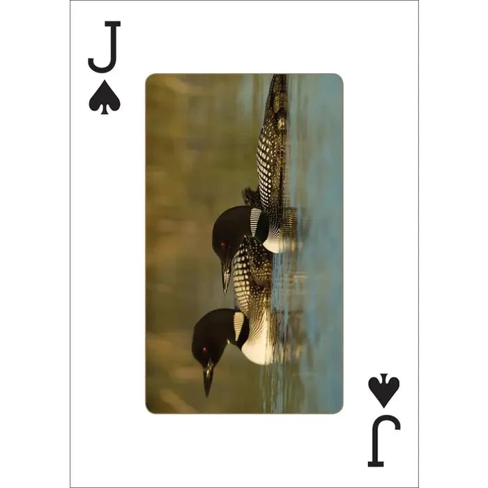 Playing Cards