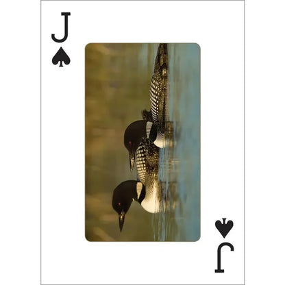 Playing Cards