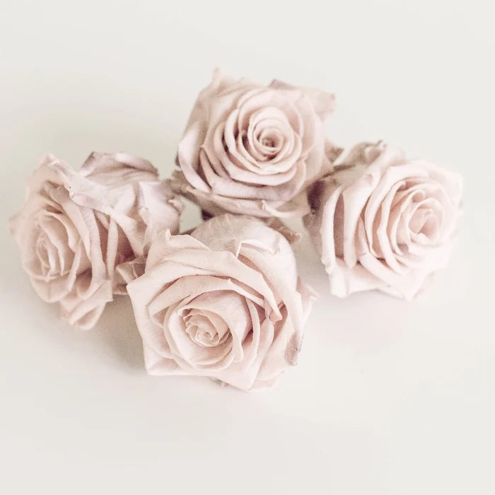 Preserved Mother Of Pearl Rose Apron - Image