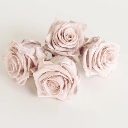 Preserved Mother Of Pearl Rose Apron - Image