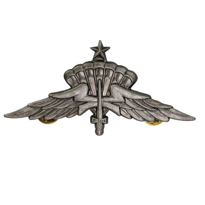US Army Freefall Jump Wings Badge, Item 2 - US Army Surplus - Flags, Badges & Insignia